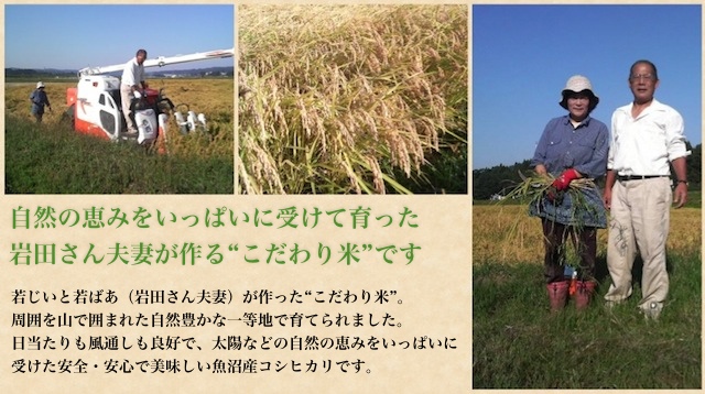 岩田さんの魚沼産コシヒカリ（平成23年産）を緊急入荷！
