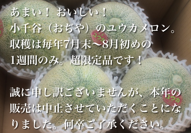 あまい！ おいしい！ 小千谷（おぢや）のユウカメロン。収穫は毎年7月末から8月初めの1週間のみ。「超限定品」です！