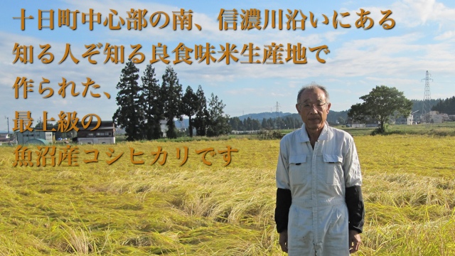 十日町中心部の南、信濃川沿いにある知る人ぞ知る良食味米生産地でつくられた、最上級の魚沼産コシヒカリです